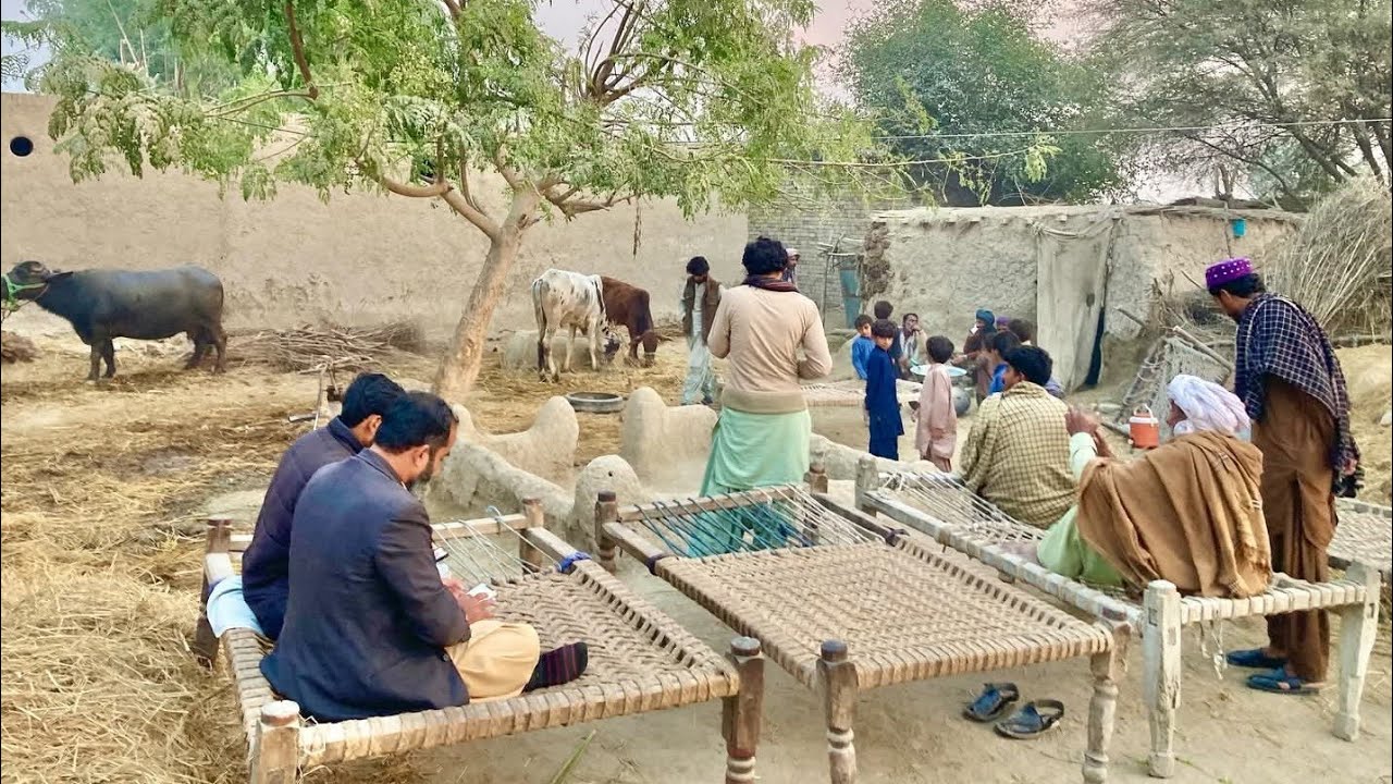 سرپنچ صاحب 