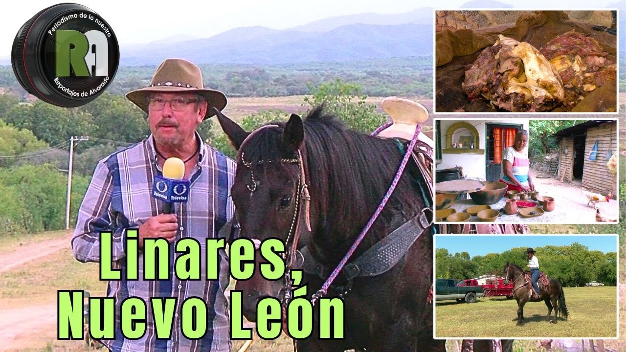 Monterrey, Nuevo León | Reportajes de Alvarado Lunes 14 de Julio 2025 - Televisa Monterrey