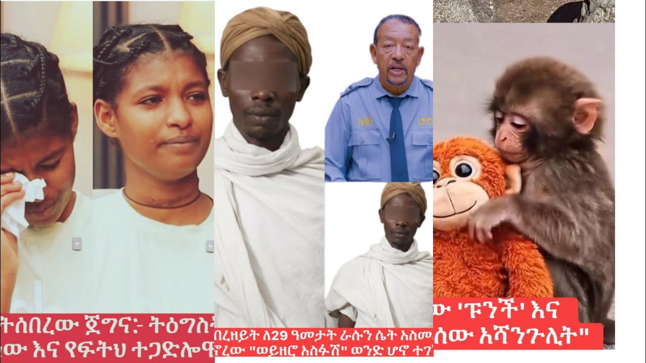 ሰበር ዜና indaynet በሃገራችን አልፎ አልፎ እንጂ የትን ተከትሎ አይታወቅም
