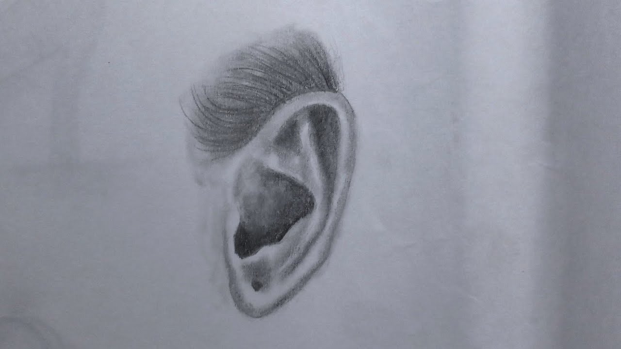 Anatomy Study: Realistic Ear Sketch with Pencil ✏️🖤
