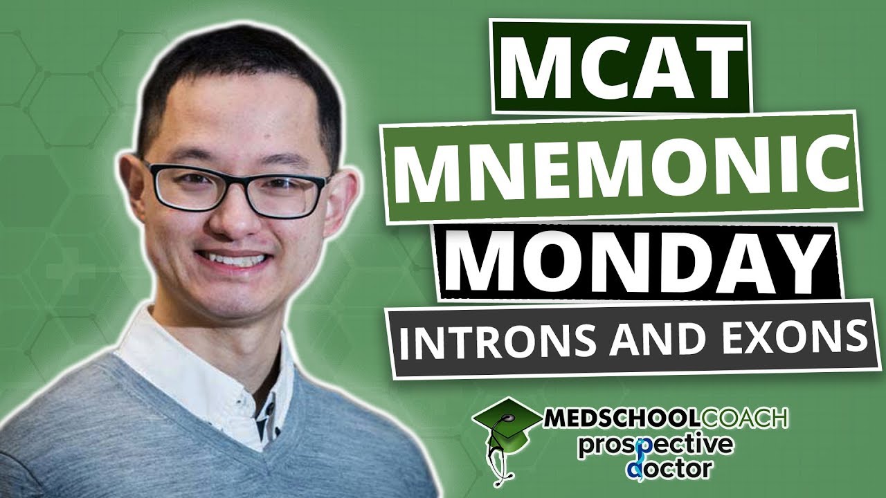 MCAT Mnemonic: Introns and Exons (Ep. 7)
