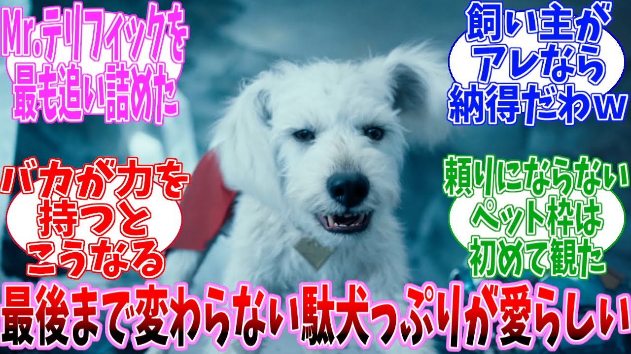 【ネタバレ注意】愛らしくも自由な存在として終始大活躍を見せた駄犬　クリプトに対する日本の反応