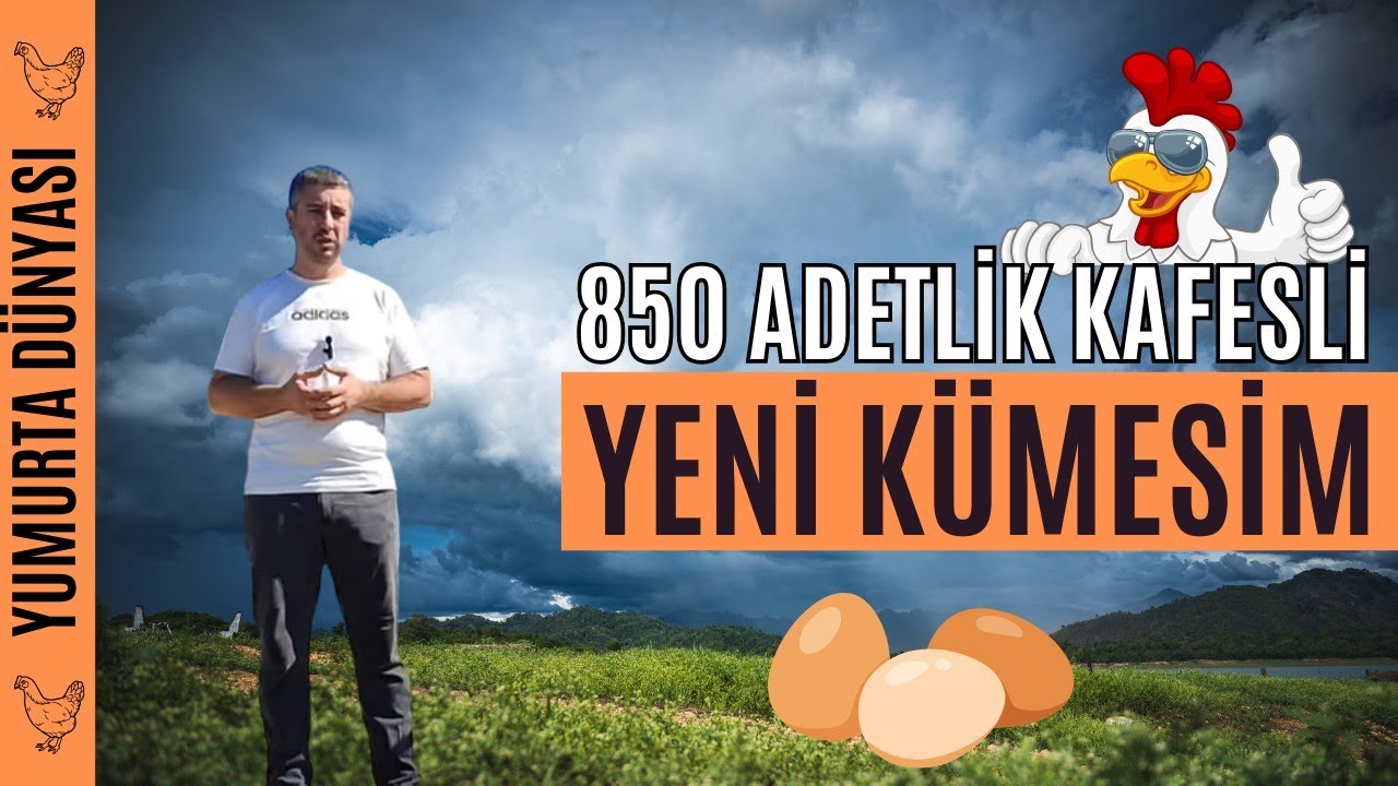 850 Adetlik Kafesli Yeni Kümesim. #cumhuriyet #101yaşında #tavuk #kafes