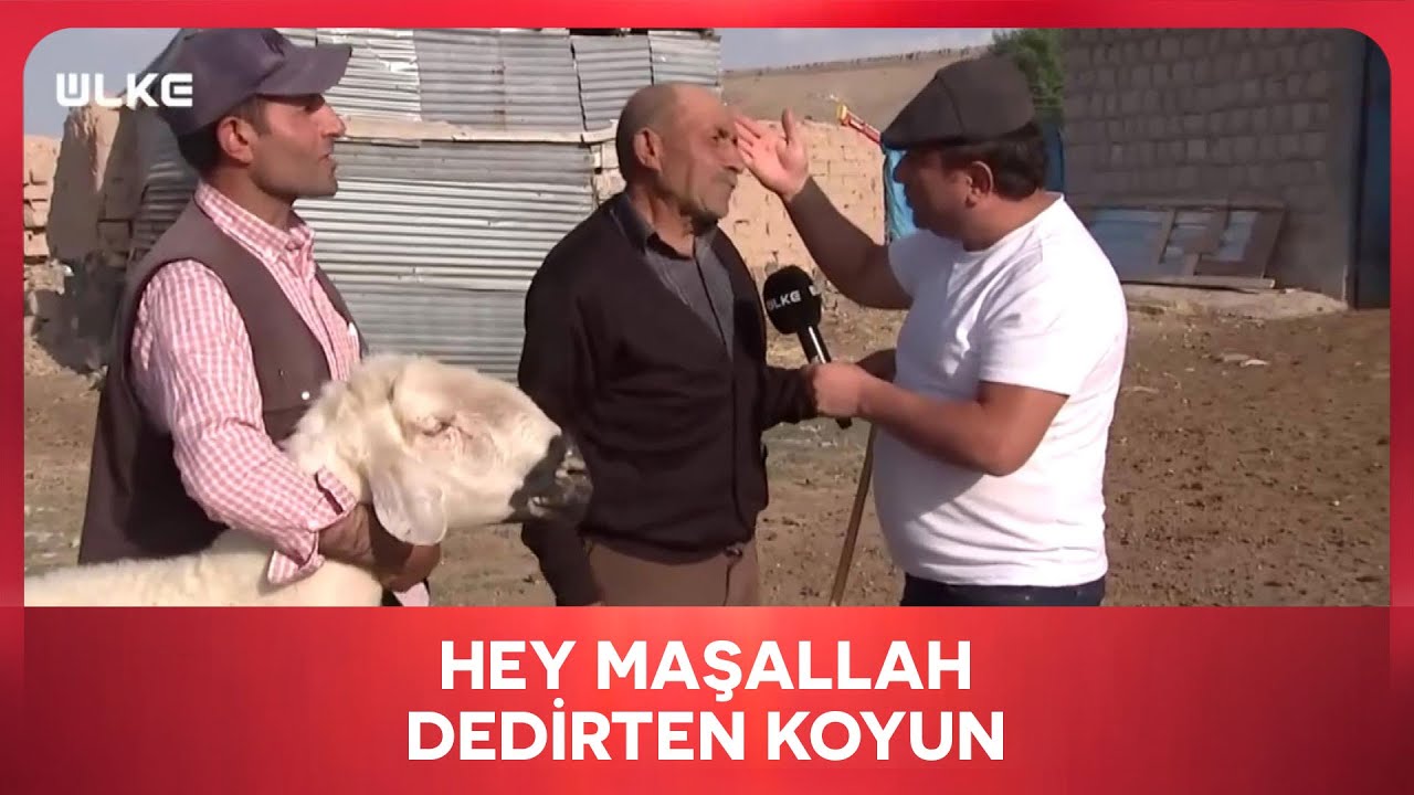 Böyle Koyun Ne Görüldü Ne Duyuldu | En İyisi Gezmek | Sivas