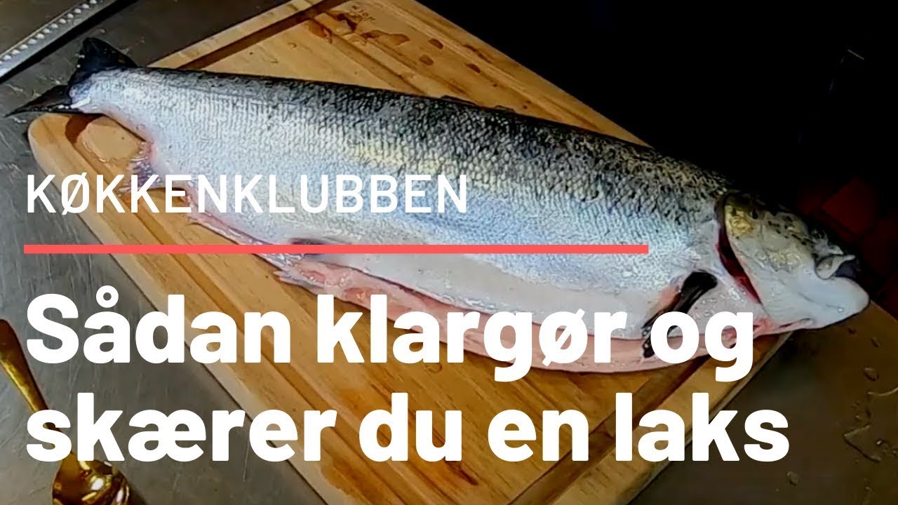 Sådan klargør og skærer du laks som en pro. Få en lækker laks! Kokkeskole med tv-kokken Claus Holm.
