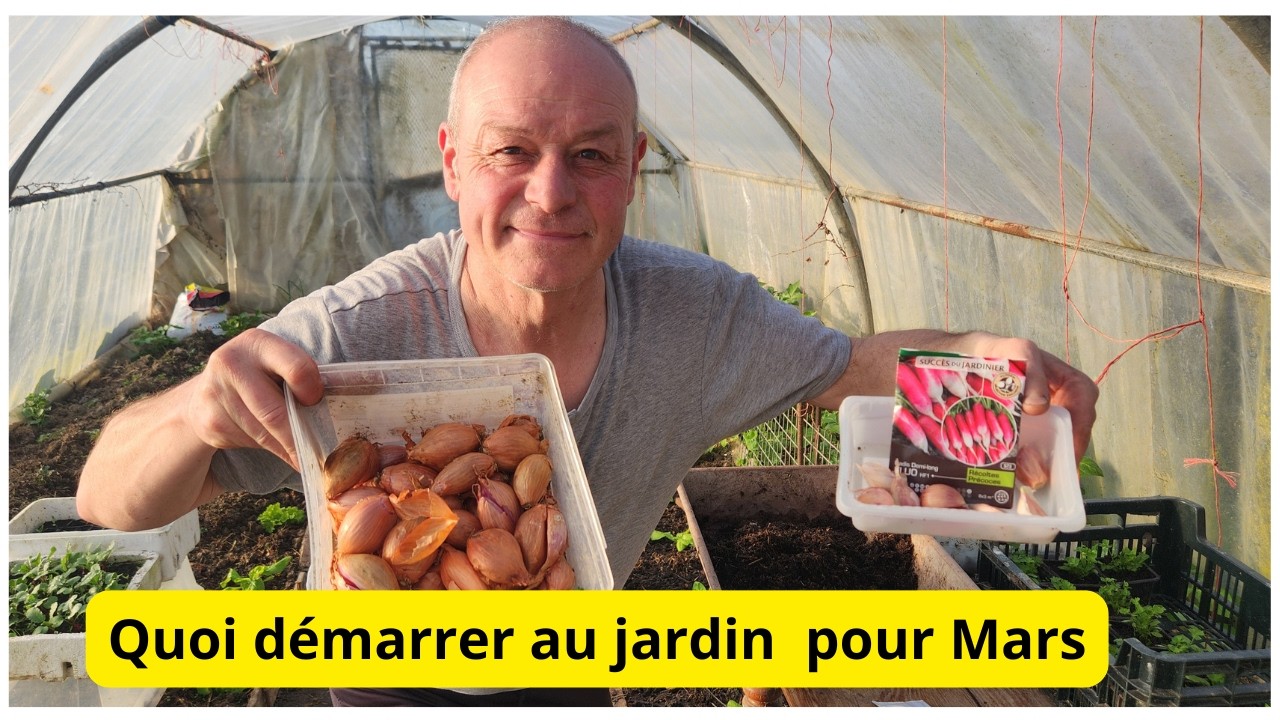 Mes conseils pour démarrer le jardin en mars