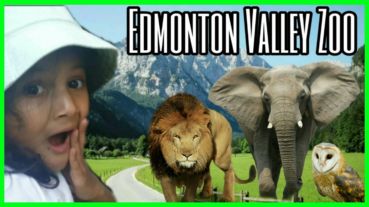 Alberta Edmonton Valley Zoo Adventures Vlog Summer 2019