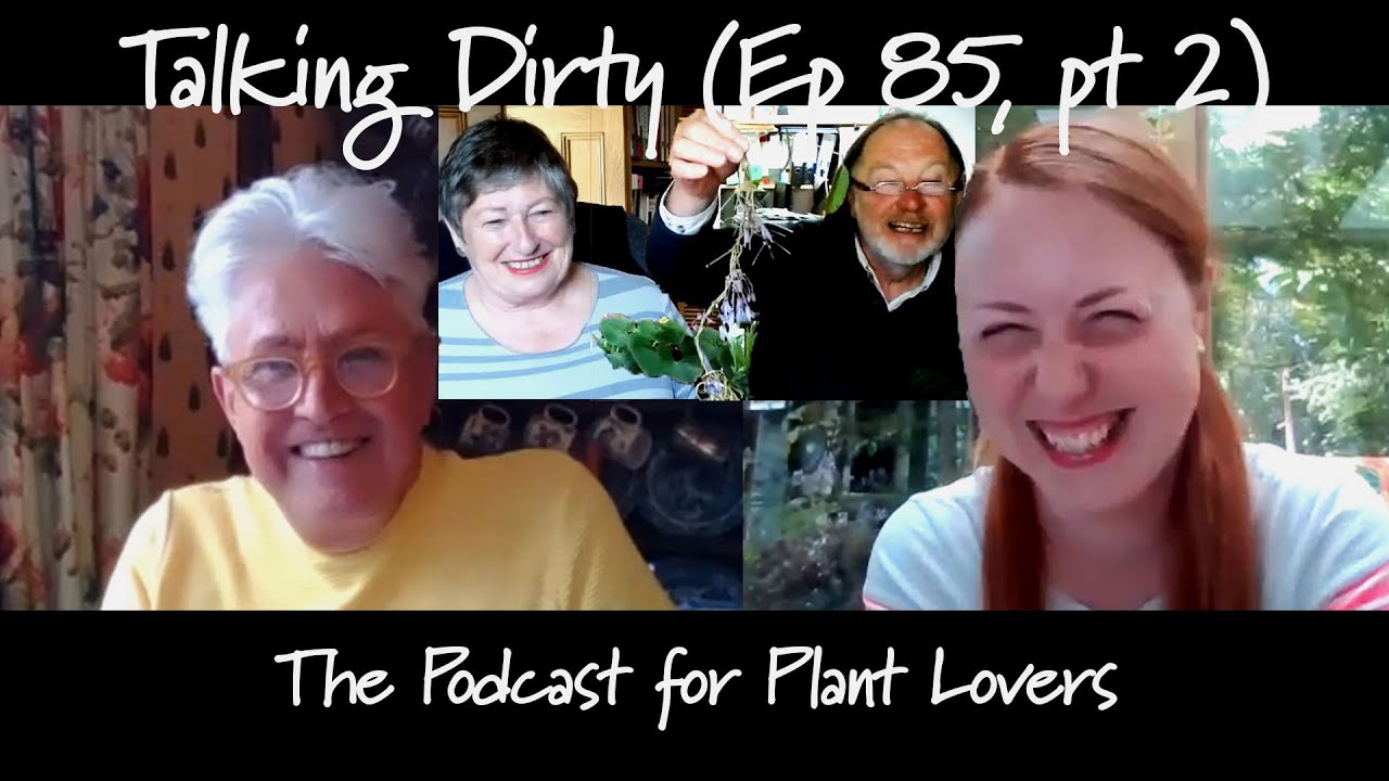 Part Two: Holboellias, Fuchsias & More Fab Foliage with Crûg Farm Plants (Talking Dirty 85)