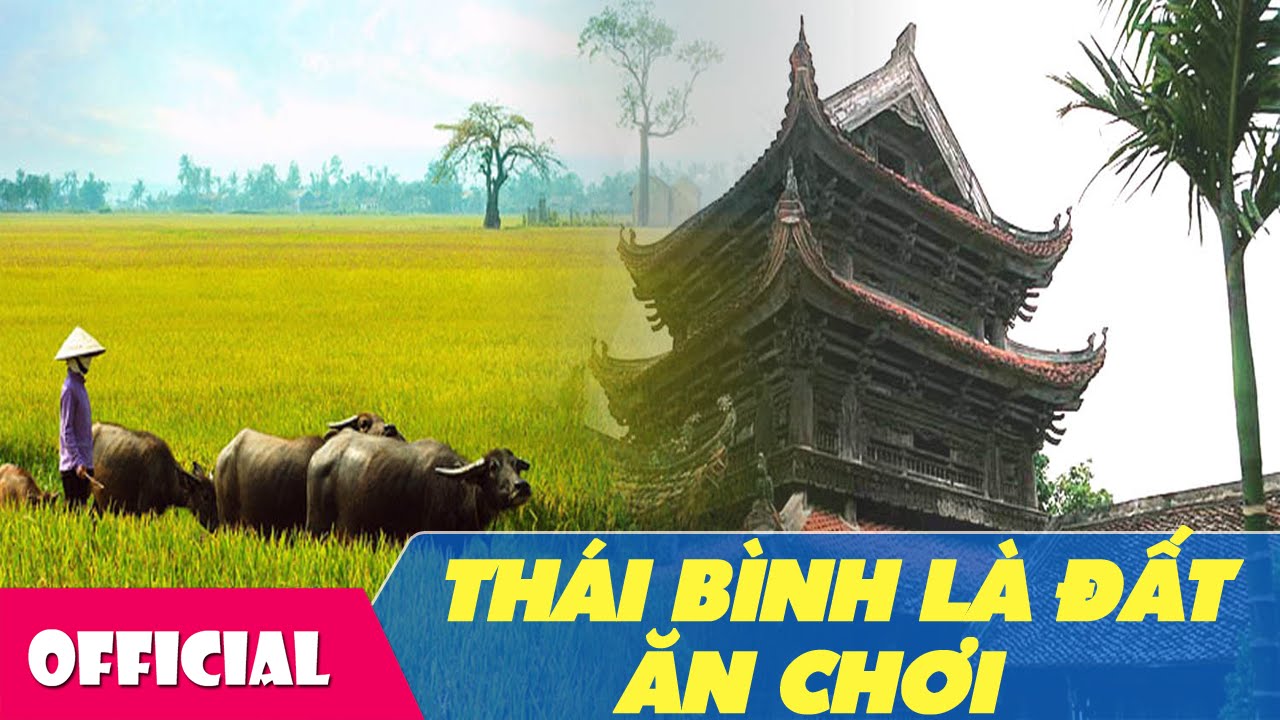 [Hát Văn] Thái Bình Là Đất Ăn Chơi - NSƯT Đình Cương Độc