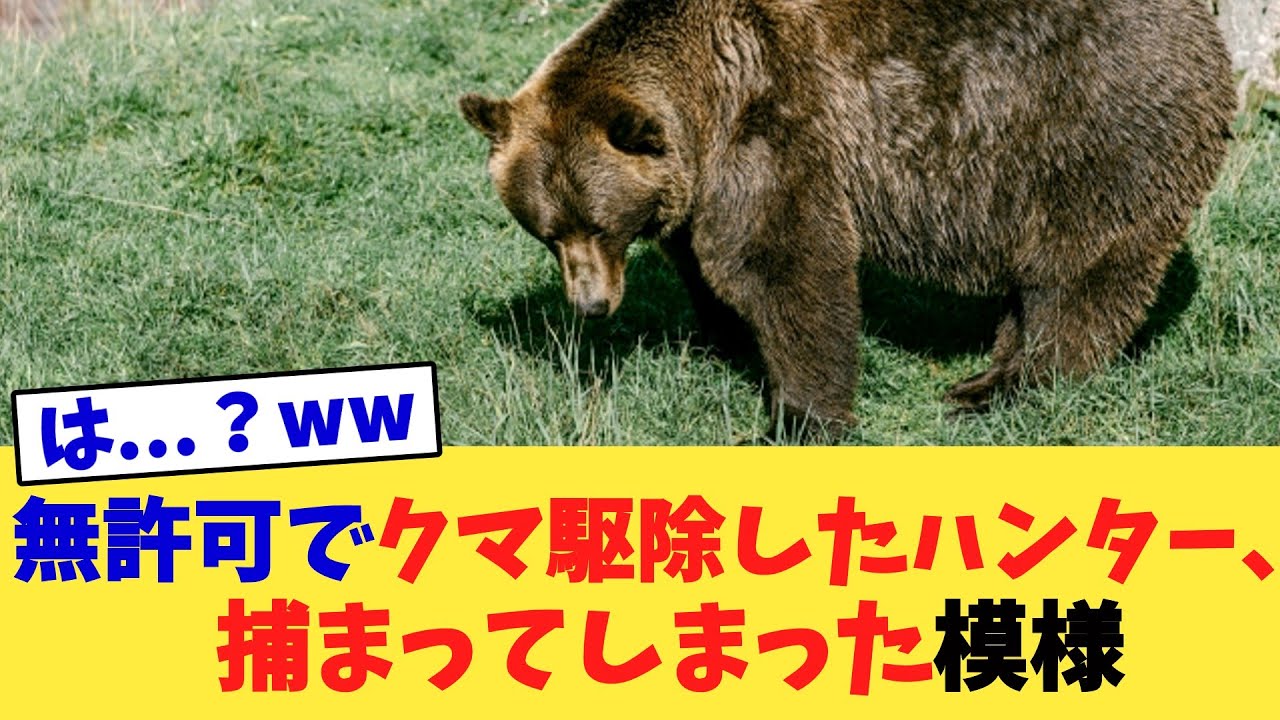 無許可でクマ駆除したハンター、捕まってしまった模様