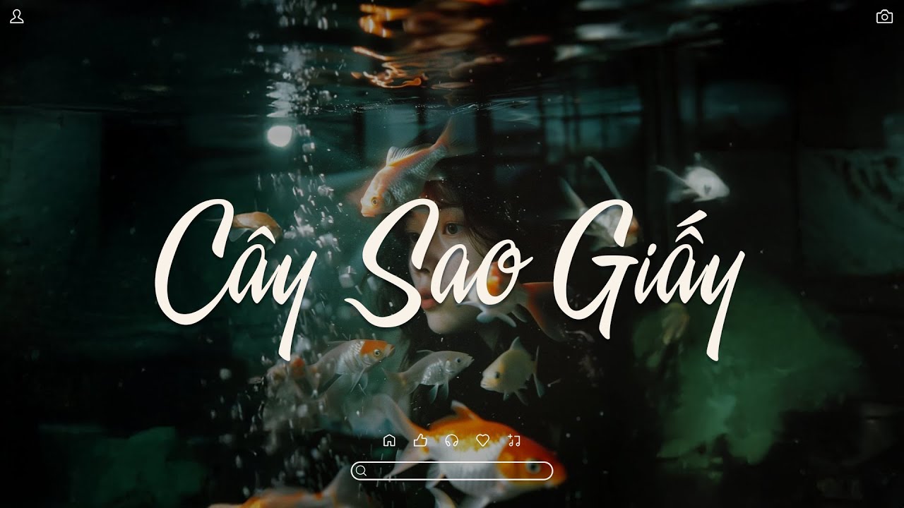 C&Acirc;Y SAO GIẤY | NHẠC LOFI CHILL 8x9x ĐỜI ĐẦU | NHẠC HOT TIKTOK 2025 - NHẠC BẤT HỦ LOFI