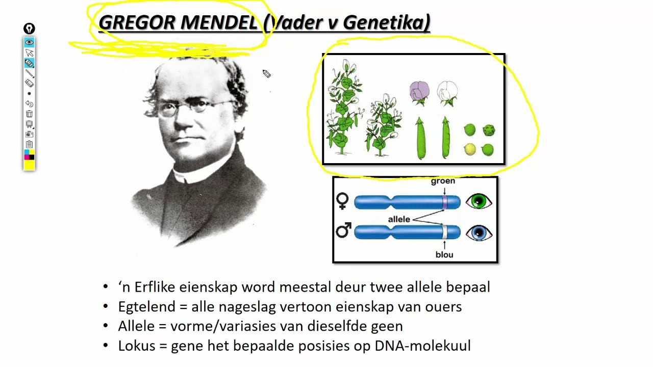 Lewenswetenskappe GR12 Genetika Les2