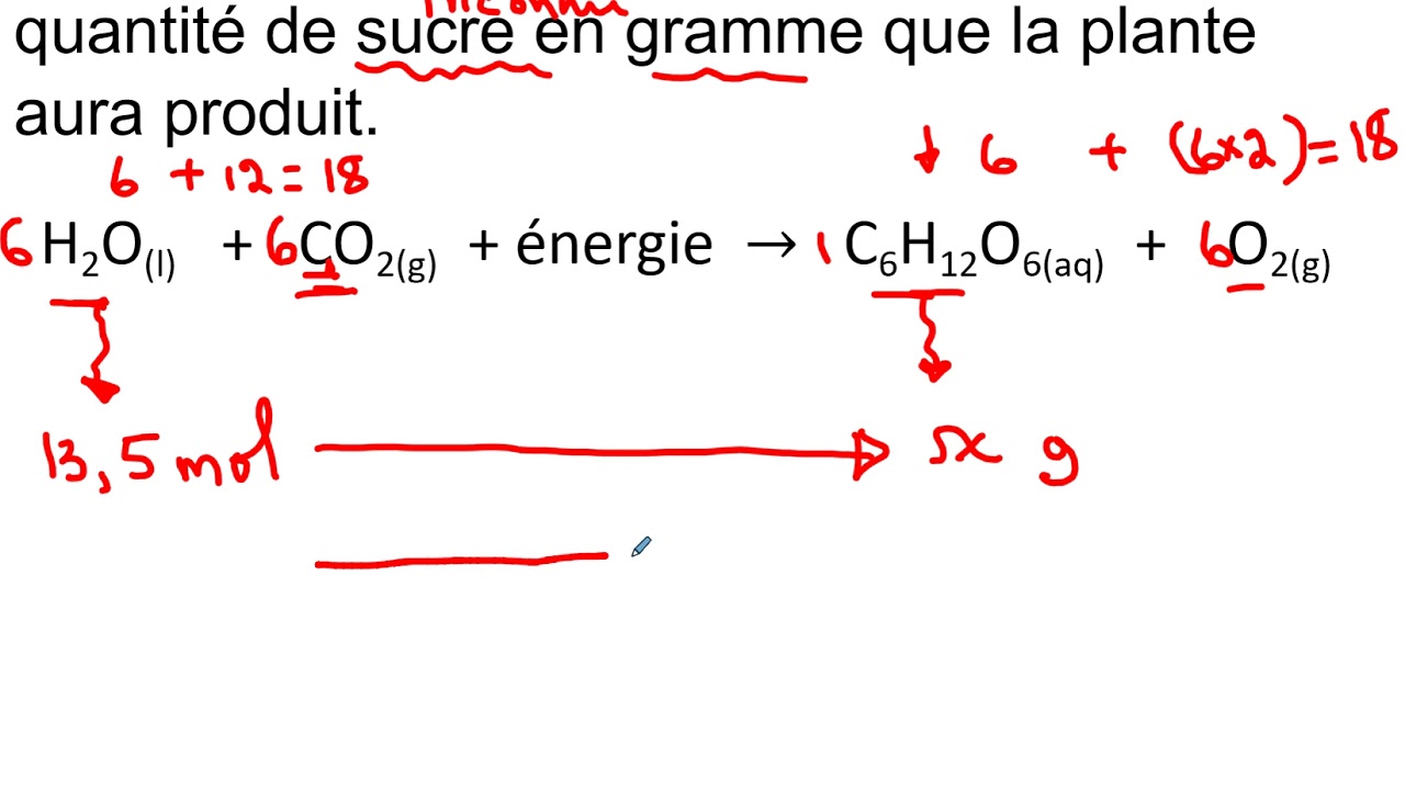 Capsule portant sur la stœchiométrie