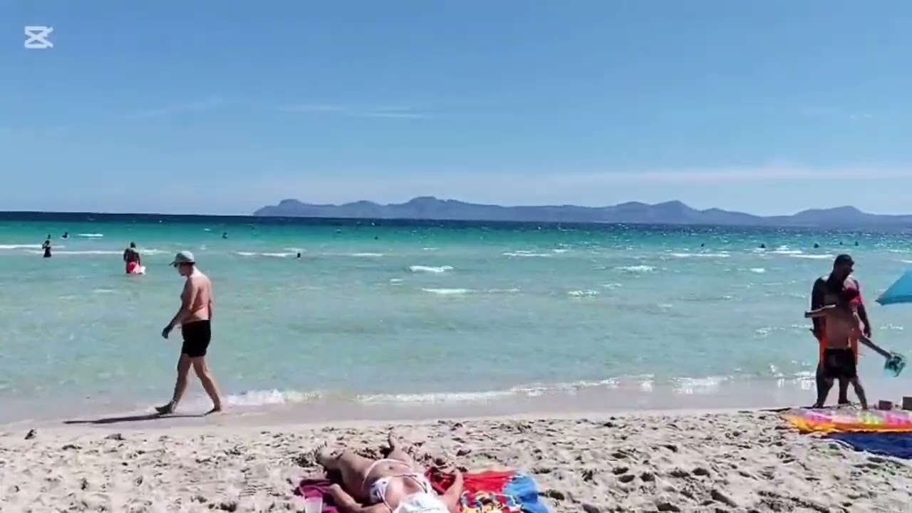 Alcudia hoy esta muy bella!