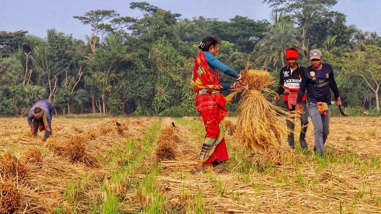 Village Farming in winter