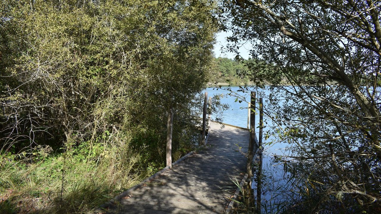 Lac d'Arjuzanx