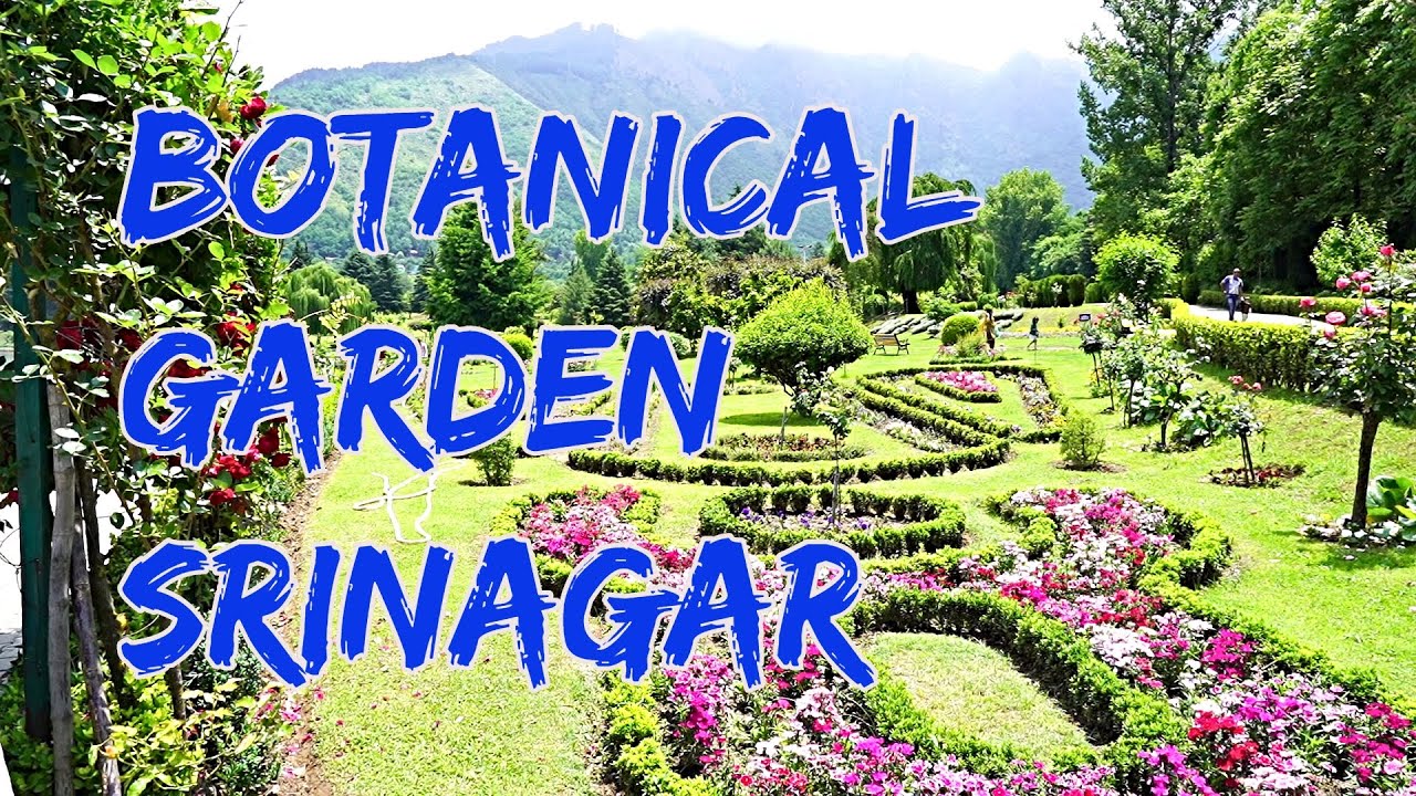 Jawaharlal Nehru Botanical Garden Sringar, Kashmir | Safar Stories