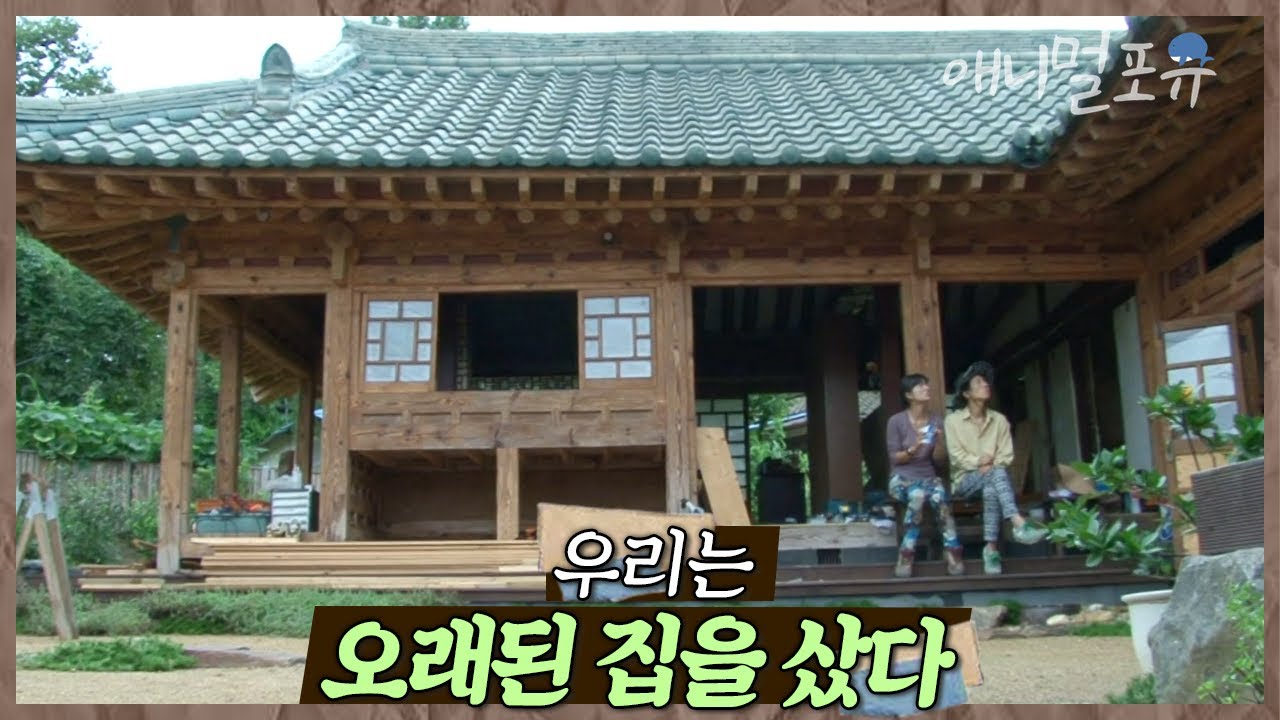 70년 된 한옥을 직접 고치며 살고 있는 부부🛖 어느 날 자식 같은 고양이가 사라지고 마는데.. | 우리는 오래된 집을 샀다 | KBS 인간극장 2017 방송