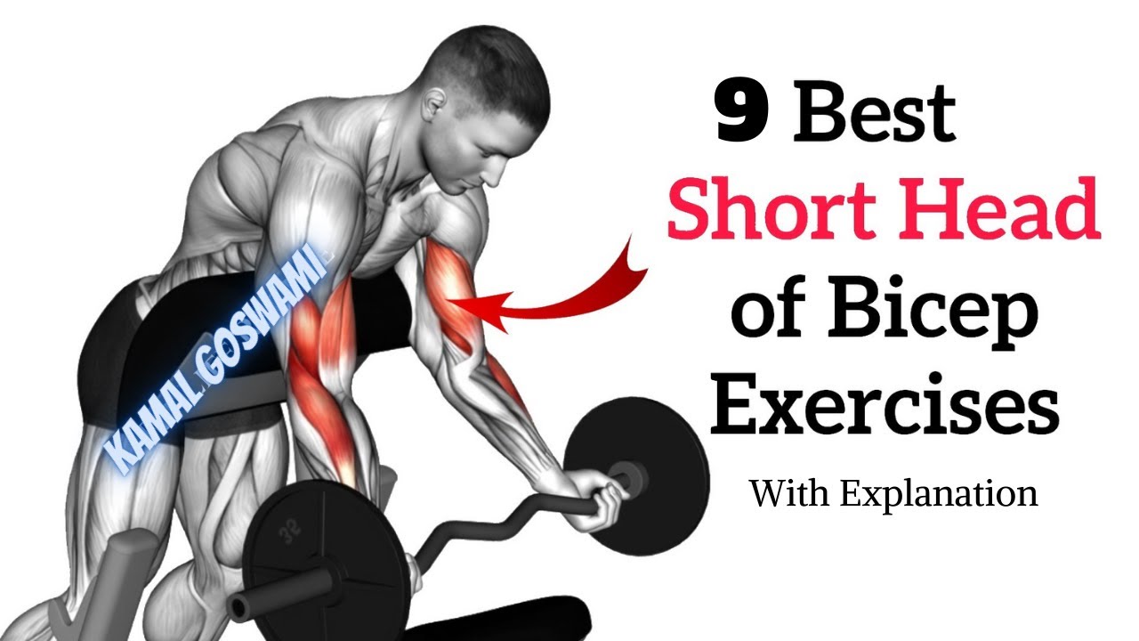 Short Head Training Explained || 9 Best Short Head Exercises for Bigger Biceps || Short Head Biceps