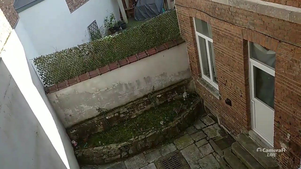 À la arrière de chez moi avec de la musique  fait le 01/03/2026