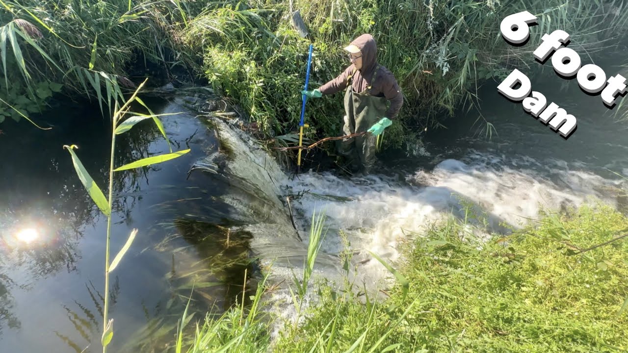 I Almost Got Washed Away! || 1.9 Meters Beaver Dam.