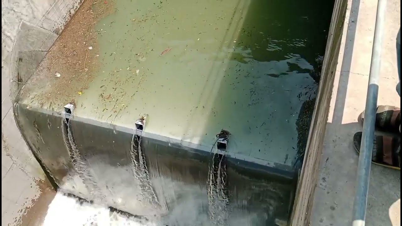 Debris Stored at the Flap Gate — To watch what is happening 