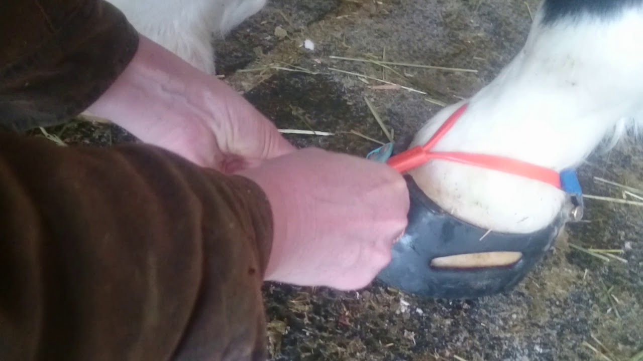 How to install Scoot Boot Mud Straps