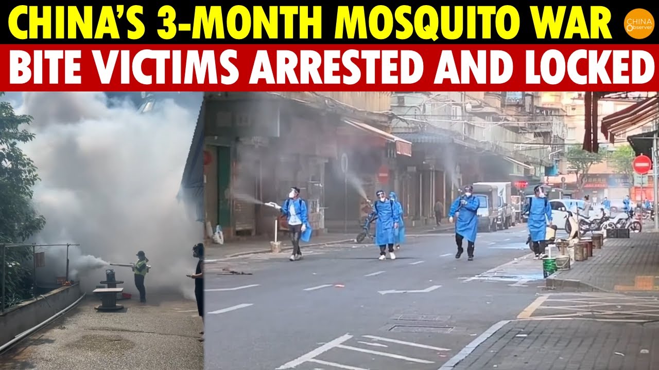 China&rsquo;s 3-Month Mosquito War: Biting Victims Forced Into Isolation, Locked in Dark Rooms