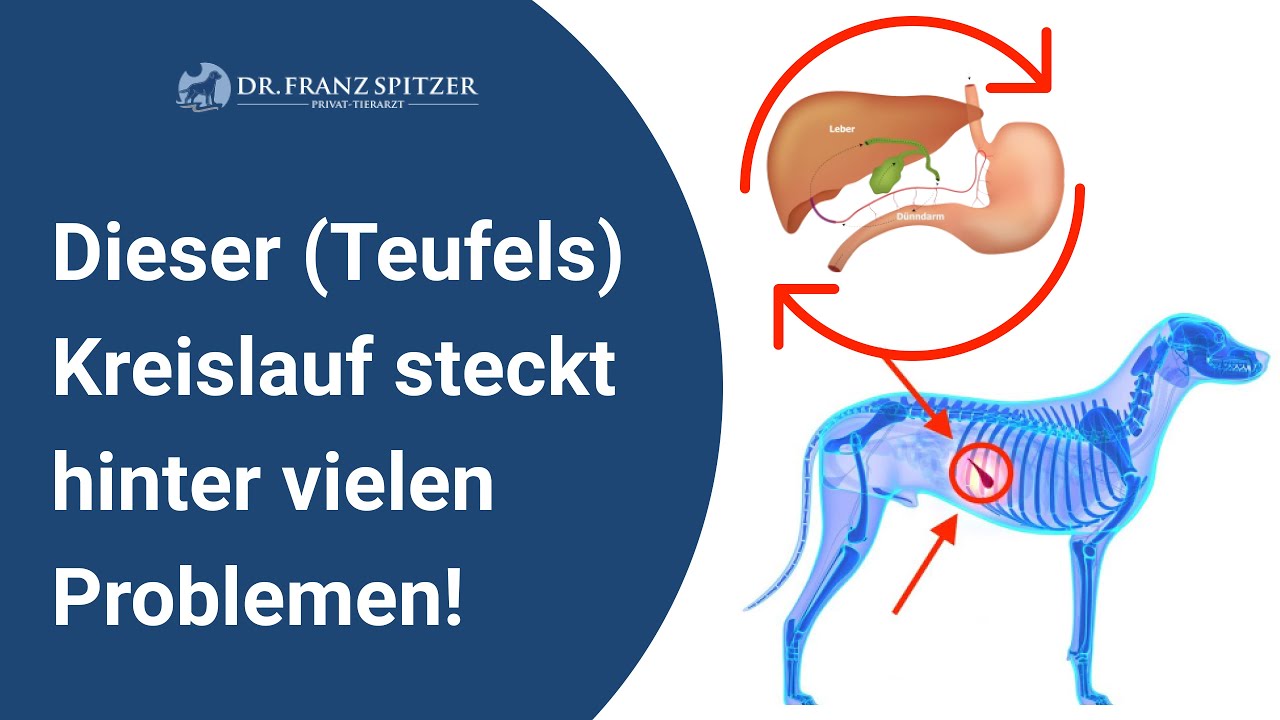 Dieser (Teufels)Kreislauf (+ 