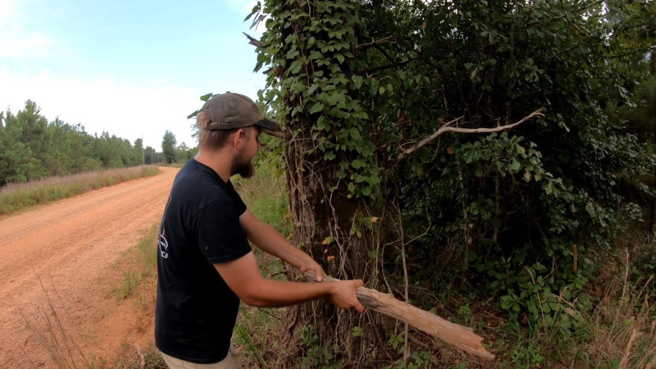 A Bigfoot Sighting In Georgia | Part 1| Investigation