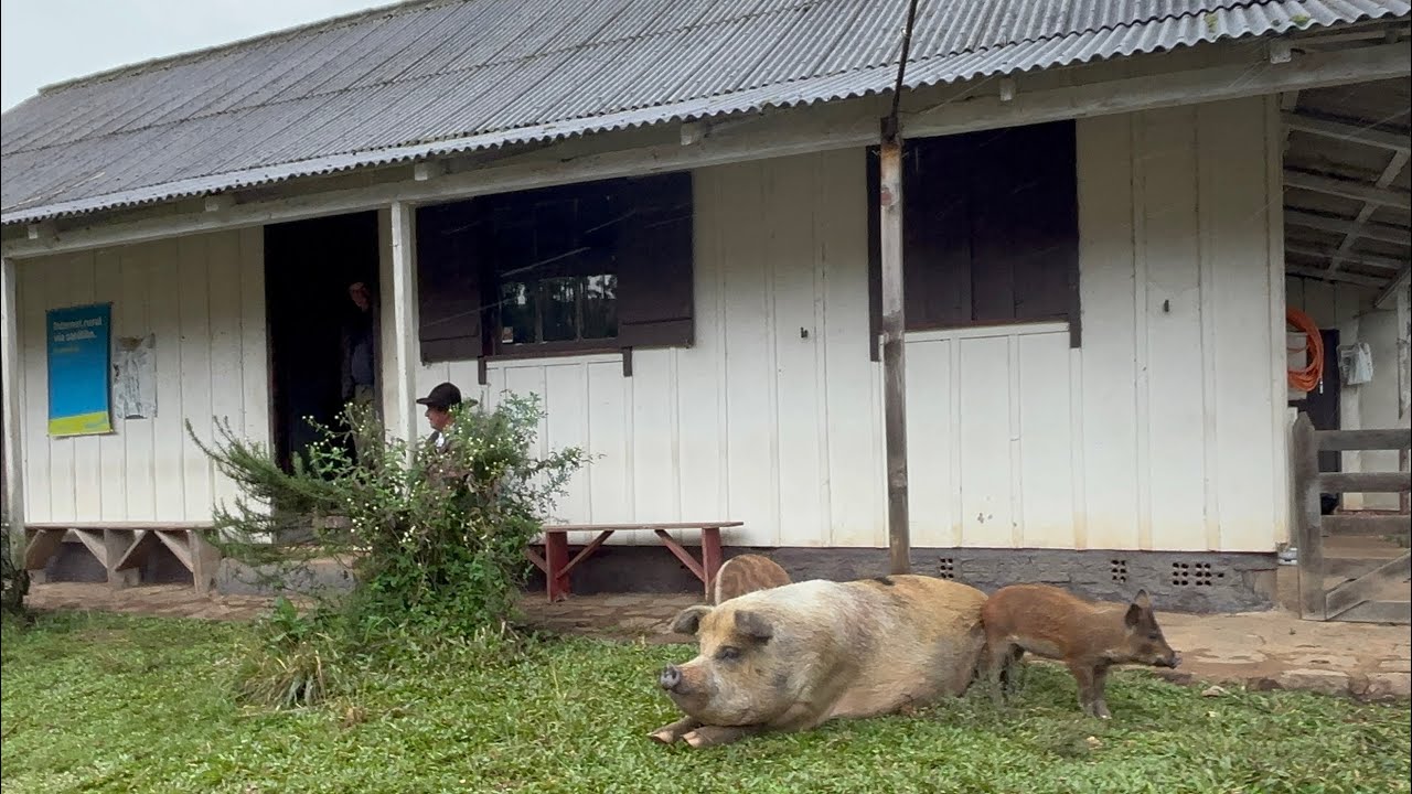 OLHA QUE ENCONTRAMOS NESTA BODEGA- CASA BRANCA BOM JESUS RS