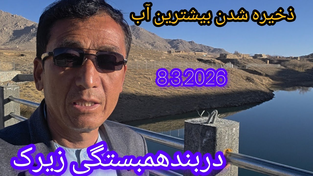 بندهمبستگی زیرک زیبا. 