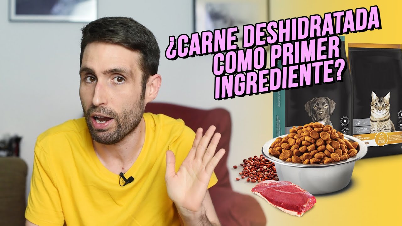 &iquest;Carne deshidratada como primer ingrediente del pienso es malo?
