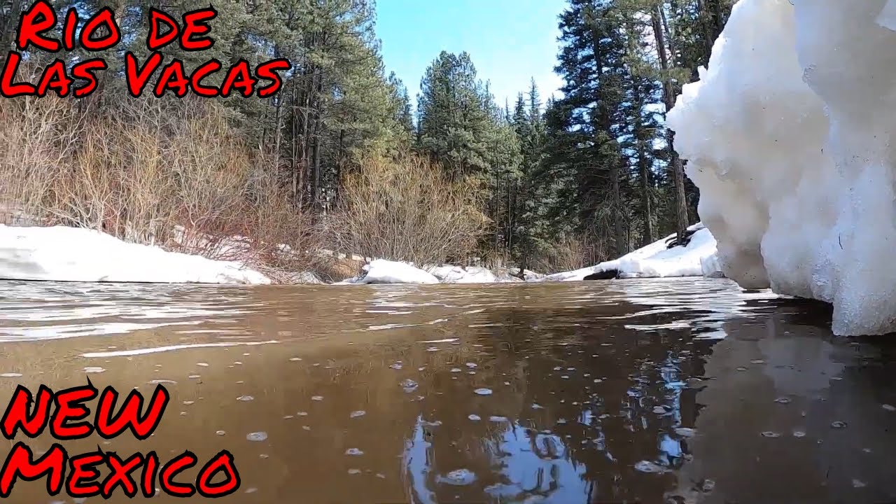 USING BERKLEY POWER EGGS for TROUT