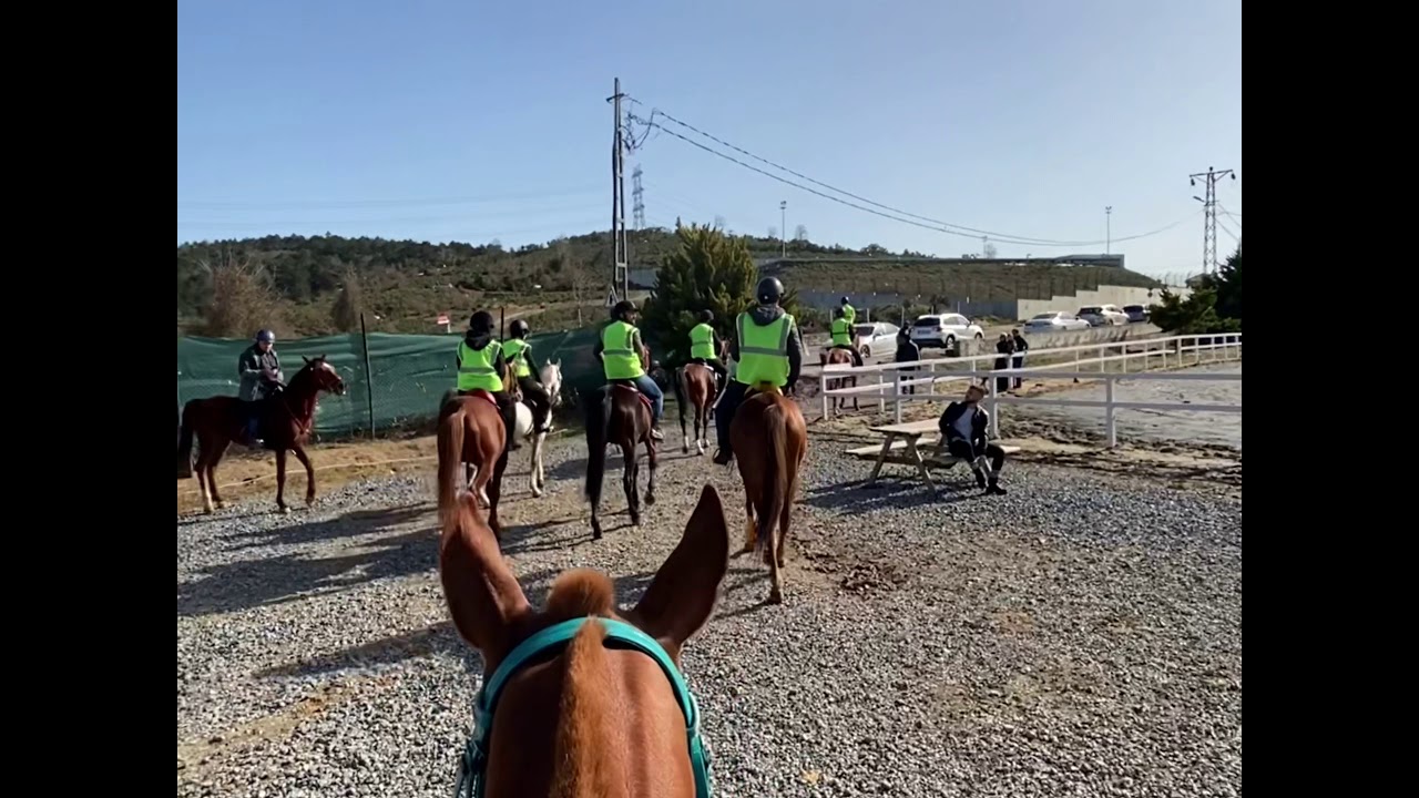 Çakırbey At Çiftliği Endurance 20km Yarışması. Orman Atlı Safari Dörtnala At Binme.