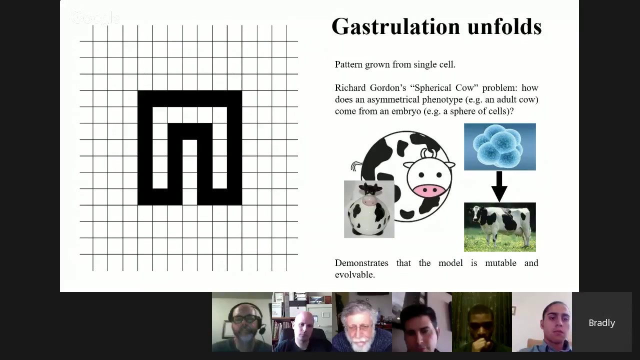 OpenWorm Journal Club: How A Worm Develops