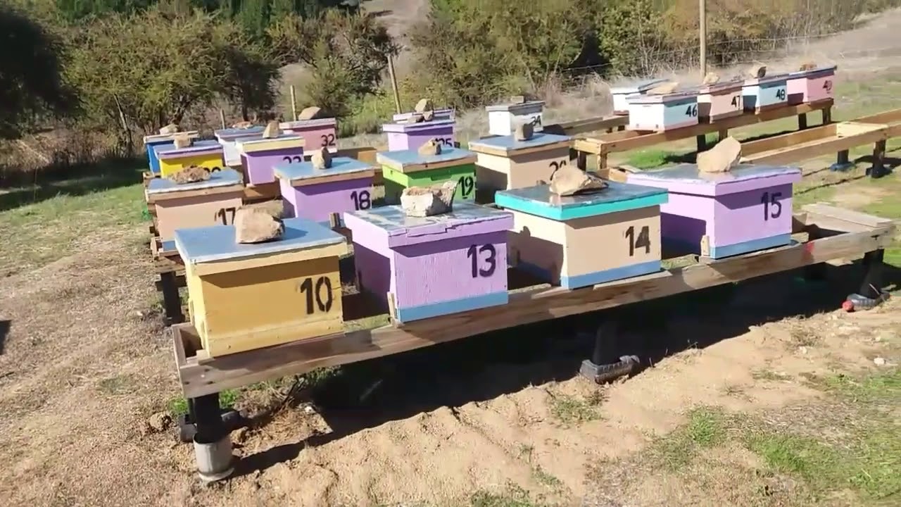 Preparación para invierno