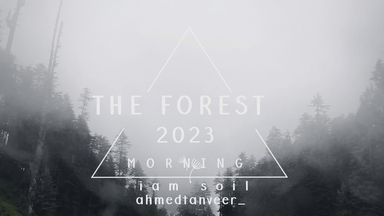 when we need to relax it&rsquo;s the forest. #mobilevediography cinematicvideography