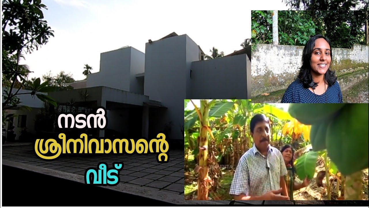 Actor Sreenivasan's house in Kochi || Vineeth Sreenivasan || Kochi celebrities home ||