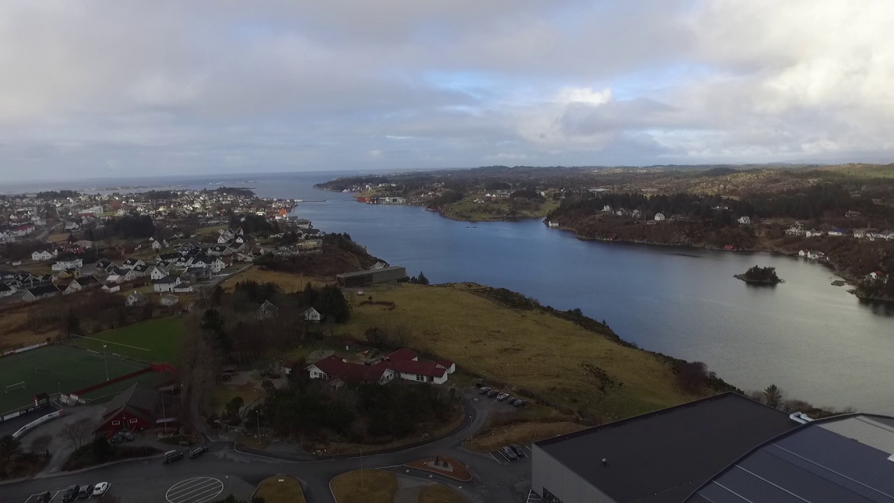 Vedavågen