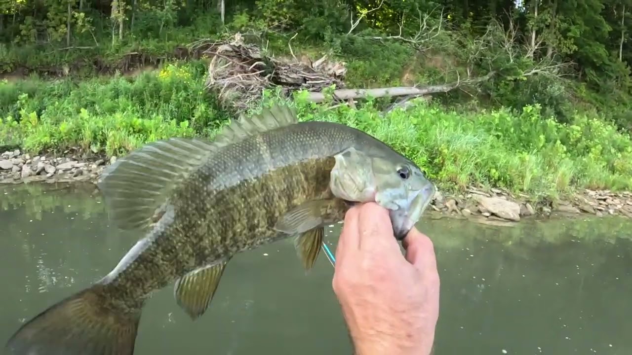 Creek Fishing For Smallmouth Bass with a Pond Prowler Boat