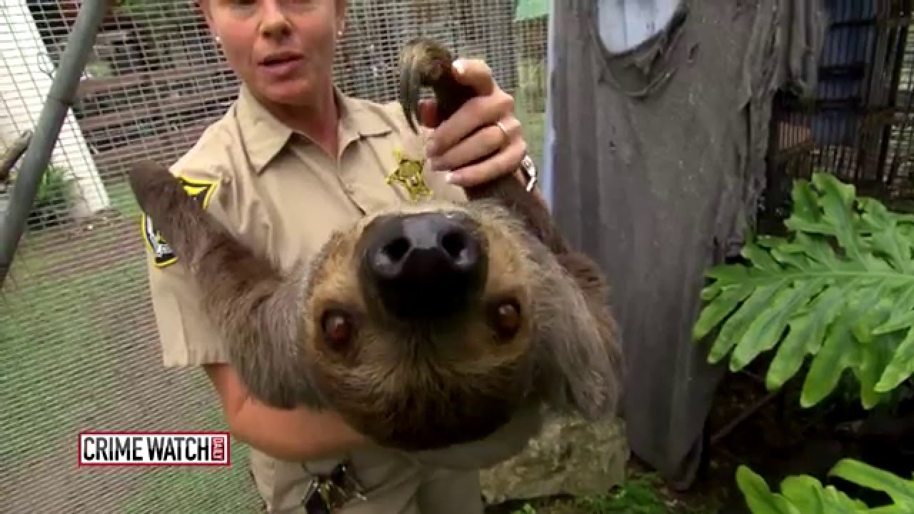 County Jail's Animal Farm Gives Inmates a Second Chance - Crime Watch Daily
