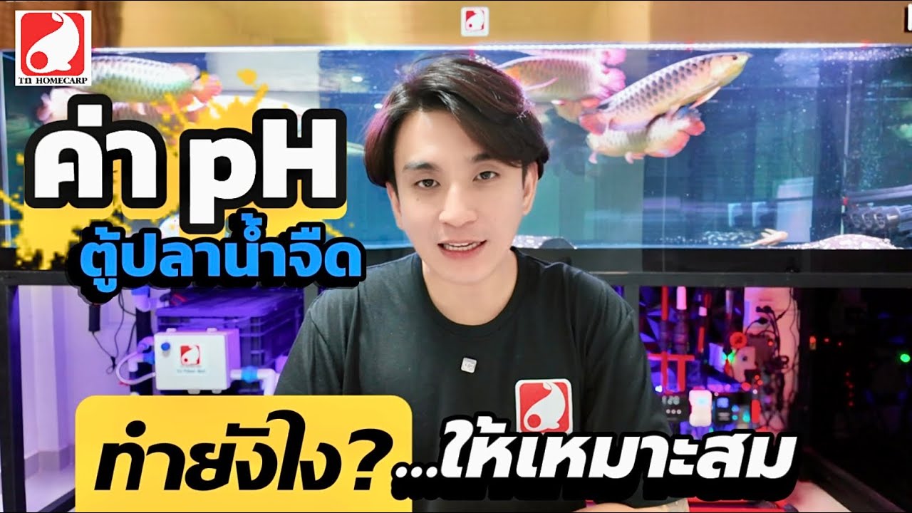 ค่า pH ตู้ปลาสำคัญยังไง และทำยังไงให้เหมาะสม