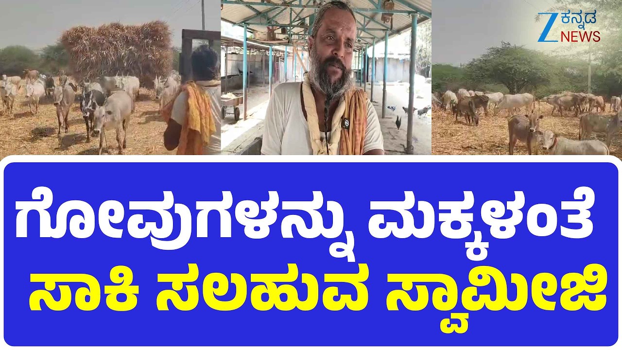 Chitradurga  | HallikarCows | SomashekarSwamiji | ಗೋವುಗಳನ್ನು ಮಕ್ಕಳಂತೆ ಸಾಕಿ ಸಲಹುವ ಸ್ವಾಮೀಜಿ