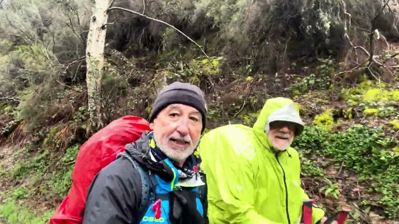Camino Olvidado