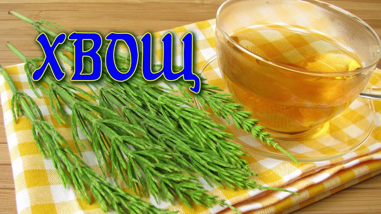 ТРАВА, КОТОРАЯ  РАСТВОРЯЕТ И ВЫГОНЯЕТ ВСЁ