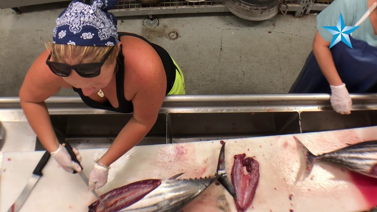 Crave: How to fillet an aku tutorial