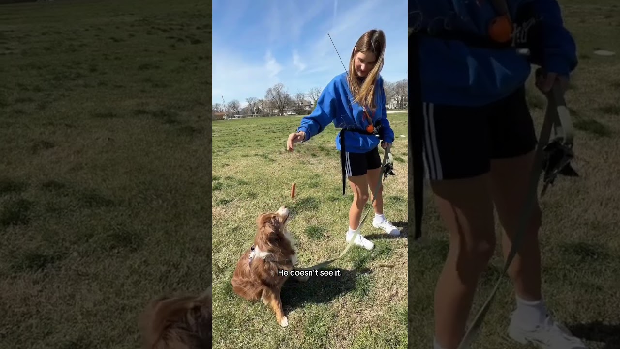 You should try this instead of paying for training! #short #shorts #matteaing