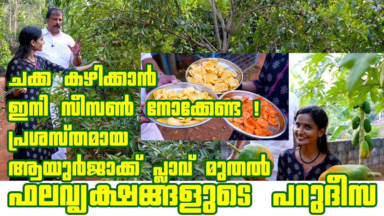 AYURJACK FARM KURUMAL KUNNU | THRISSUR