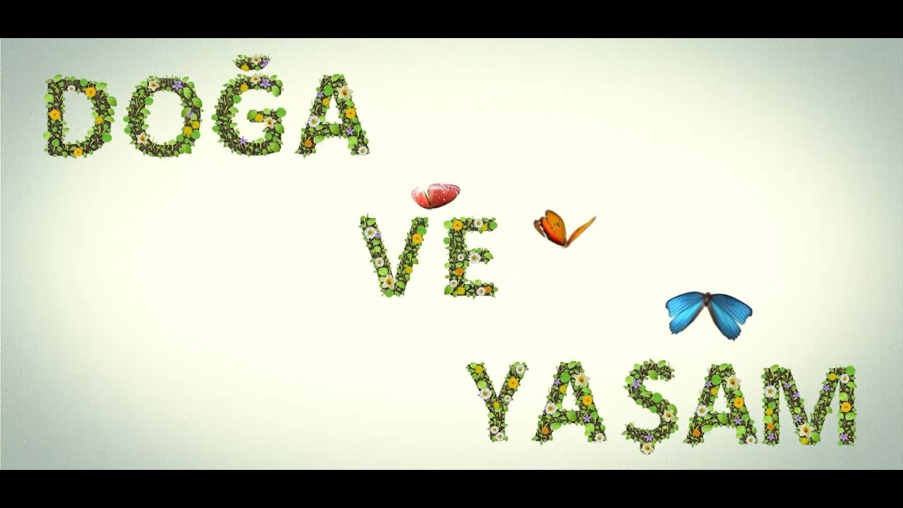 Doğa ve Yaşam - MARDİN SAVUR ÇAYI